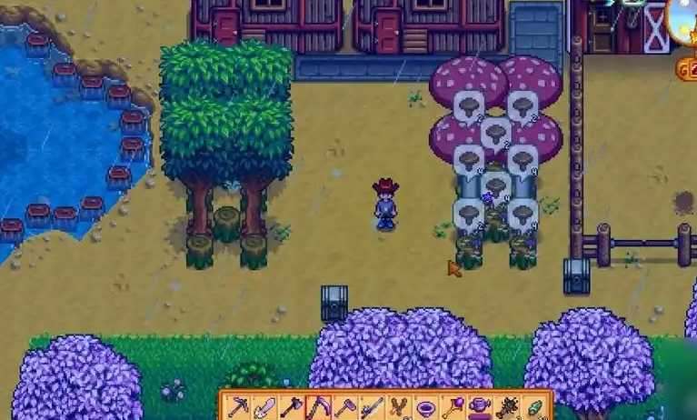 星露谷物语觅食10级怎么选 星露谷物语觅食10级怎么选